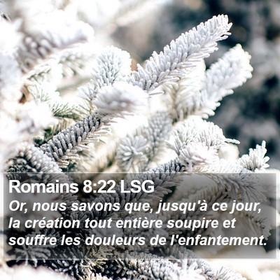 Romains 8:22 LSG Bible Verse Image