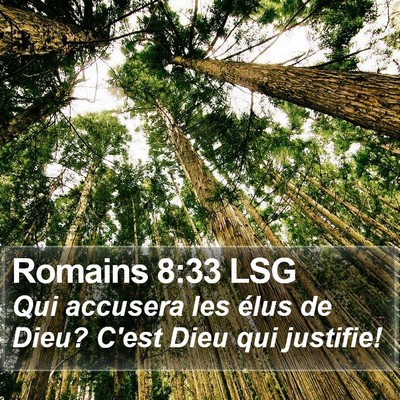 Romains 8:33 LSG Bible Verse Image