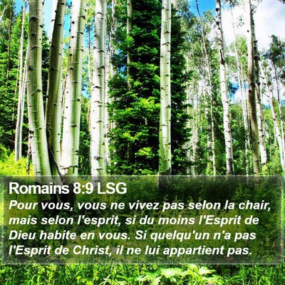 Romains 8:9 LSG Bible Verse Image
