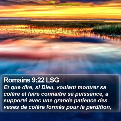 Romains 9:22 LSG Bible Verse Image