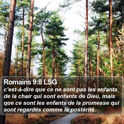 Romains 9:8 LSG Bible Verse Image