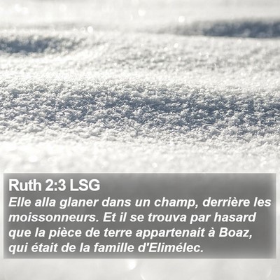 Ruth 2:3 LSG Bible Verse Image