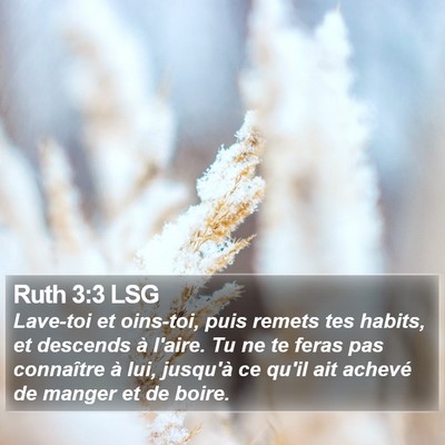 Ruth 3:3 LSG Bible Verse Image