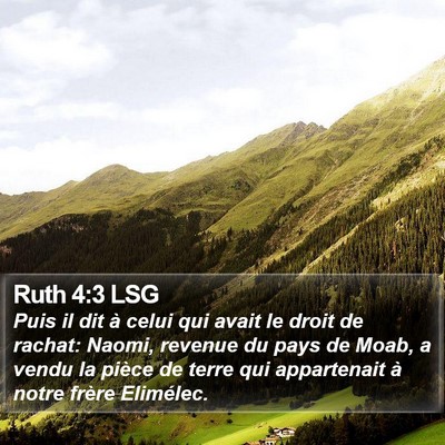 Ruth 4:3 LSG Bible Verse Image