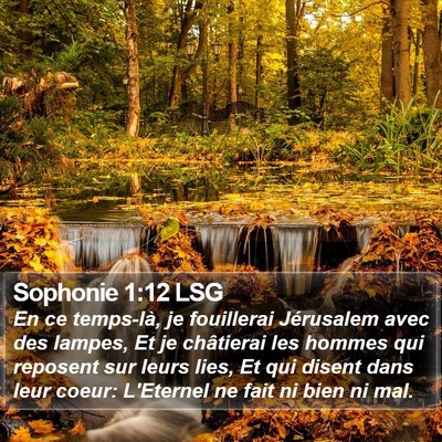 Sophonie 1:12 LSG Bible Verse Image