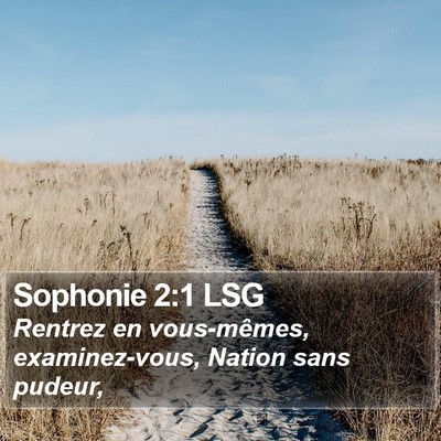 Sophonie 2:1 LSG Bible Verse Image