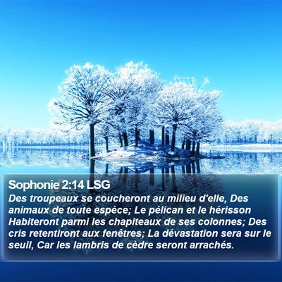 Sophonie 2:14 LSG Bible Verse Image