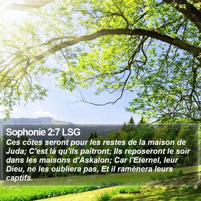 Sophonie 2:7 LSG Bible Verse Image