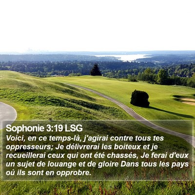 Sophonie 3:19 LSG Bible Verse Image
