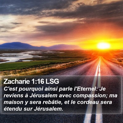 Zacharie 1:16 LSG Bible Verse Image