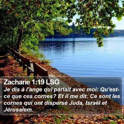 Zacharie 1:19 LSG Bible Verse Image