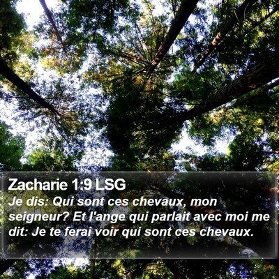 Zacharie 1:9 LSG Bible Verse Image