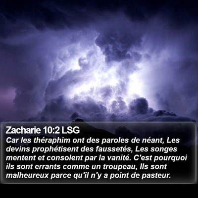 Zacharie 10:2 LSG Bible Verse Image