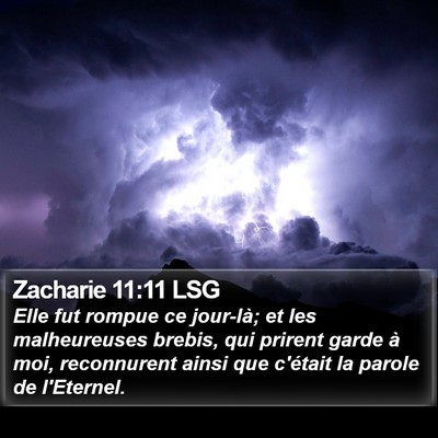 Zacharie 11:11 LSG Bible Verse Image
