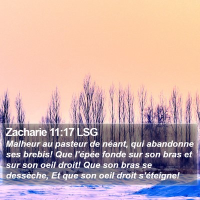 Zacharie 11:17 LSG Bible Verse Image