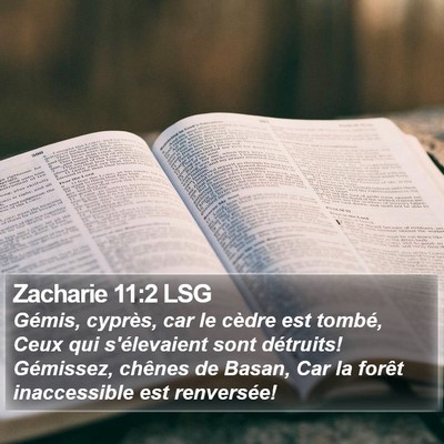 Zacharie 11:2 LSG Bible Verse Image