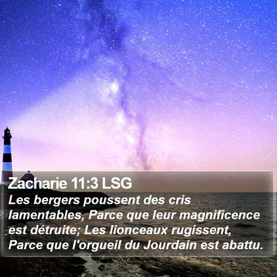 Zacharie 11:3 LSG Bible Verse Image