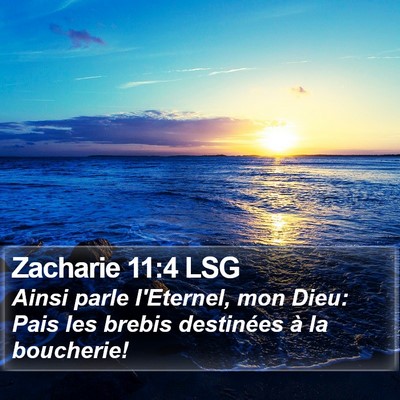 Zacharie 11:4 LSG Bible Verse Image