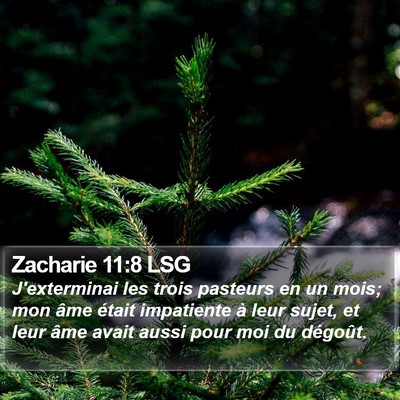 Zacharie 11:8 LSG Bible Verse Image