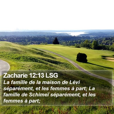 Zacharie 12:13 LSG Bible Verse Image
