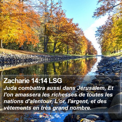 Zacharie 14:14 LSG Bible Verse Image