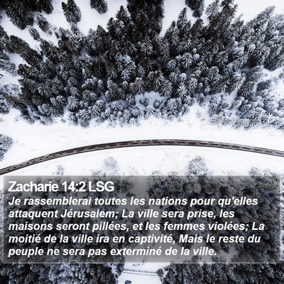 Zacharie 14:2 LSG Bible Verse Image