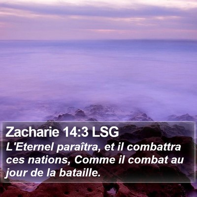 Zacharie 14:3 LSG Bible Verse Image
