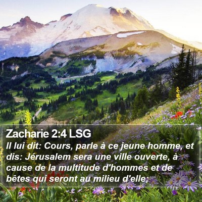 Zacharie 2:4 LSG Bible Verse Image