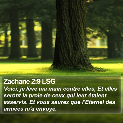Zacharie 2:9 LSG Bible Verse Image