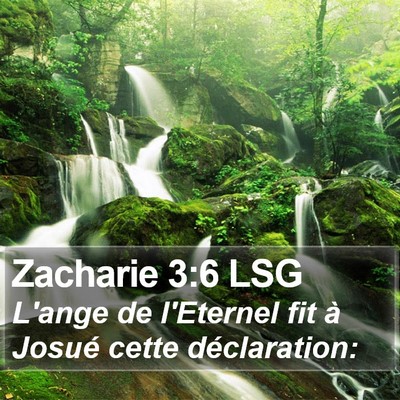 Zacharie 3:6 LSG Bible Verse Image