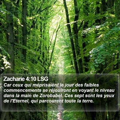 Zacharie 4:10 LSG Bible Verse Image