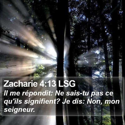 Zacharie 4:13 LSG Bible Verse Image