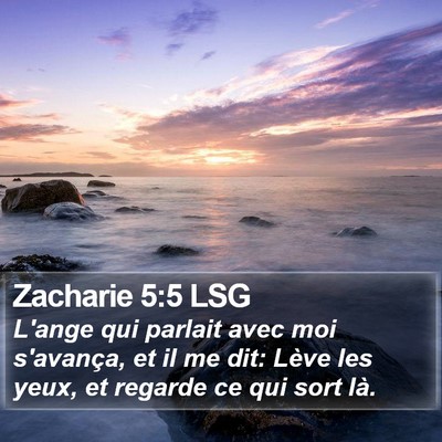 Zacharie 5:5 LSG Bible Verse Image