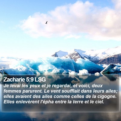 Zacharie 5:9 LSG Bible Verse Image