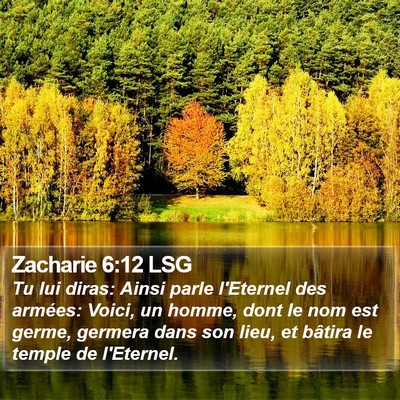 Zacharie 6:12 LSG Bible Verse Image