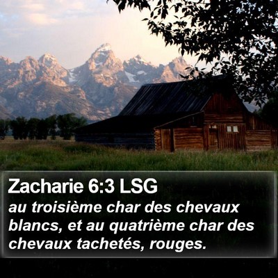 Zacharie 6:3 LSG Bible Verse Image
