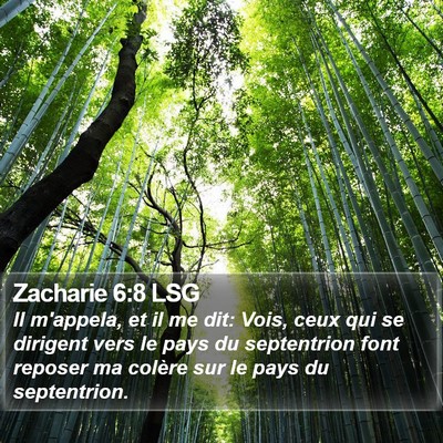 Zacharie 6:8 LSG Bible Verse Image