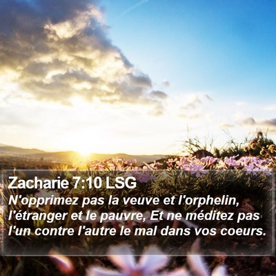 Zacharie 7:10 LSG Bible Verse Image
