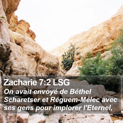 Zacharie 7:2 LSG Bible Verse Image