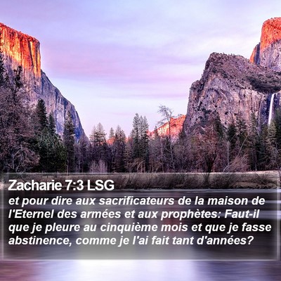 Zacharie 7:3 LSG Bible Verse Image