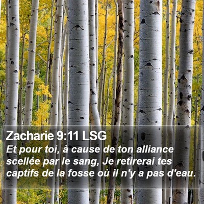 Zacharie 9:11 LSG Bible Verse Image