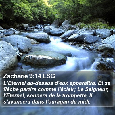 Zacharie 9:14 LSG Bible Verse Image