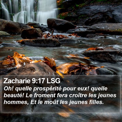 Zacharie 9:17 LSG Bible Verse Image