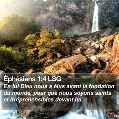Éphésiens 1:4 LSG Bible Verse Image