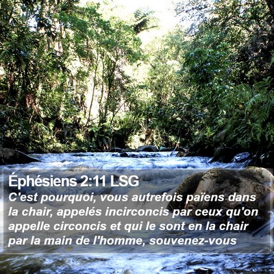 Éphésiens 2:11 LSG Bible Verse Image