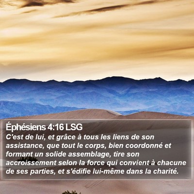 Éphésiens 4:16 LSG Bible Verse Image