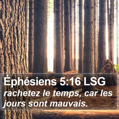 Éphésiens 5:16 LSG Bible Verse Image