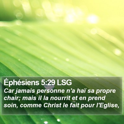 Éphésiens 5:29 LSG Bible Verse Image