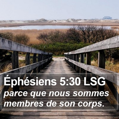 Éphésiens 5:30 LSG Bible Verse Image