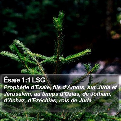 Ésaïe 1:1 LSG Bible Verse Image